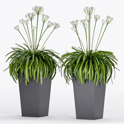 PLANT -16 — Ver 1