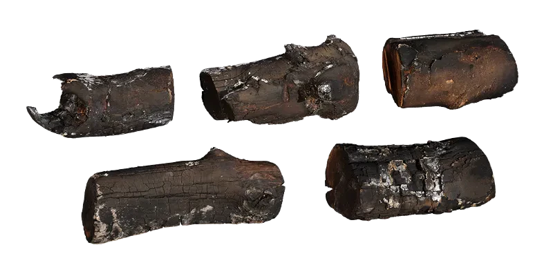 burnt firewood pack 002 — Скачать