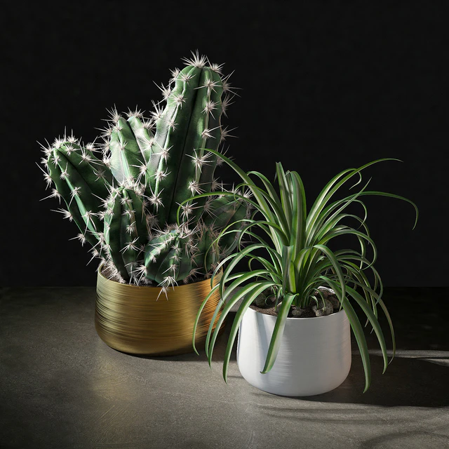 Set of plants 02 — Descargar