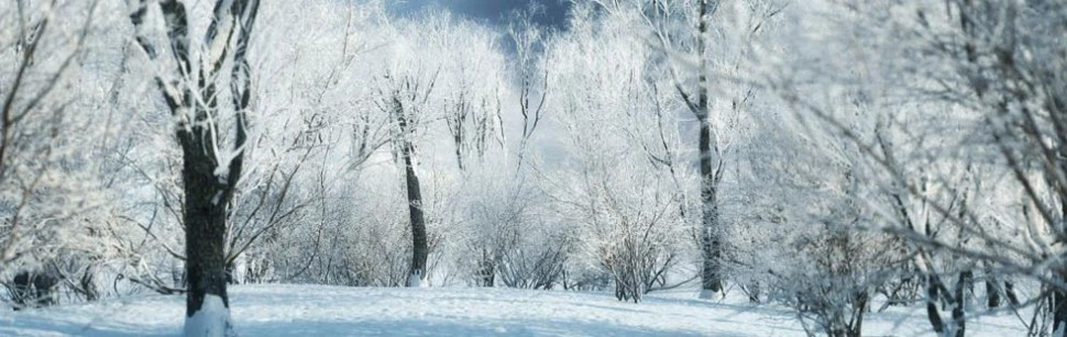 itrees vol 003 winter — Descargar
