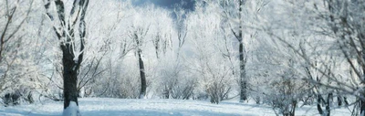 itrees vol 003 winter — Descargar