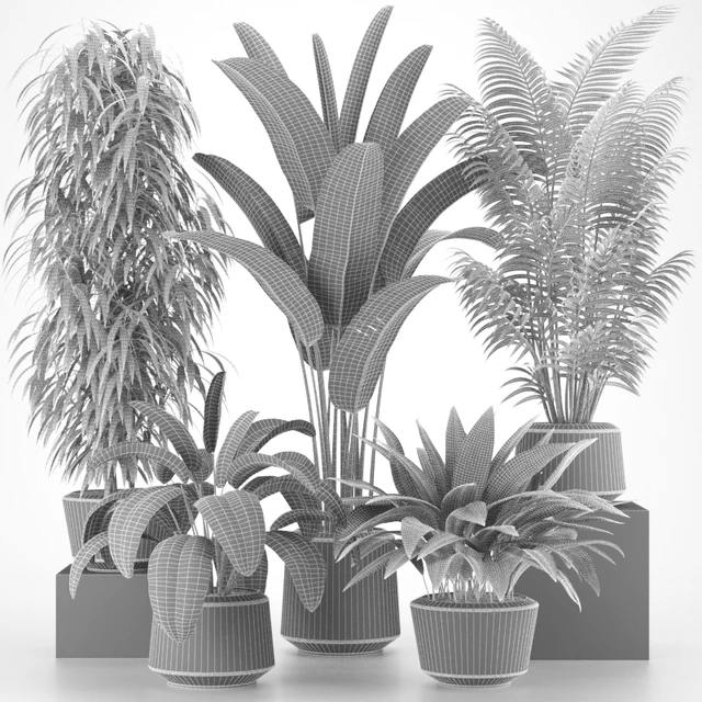 Plants collection 05 — Download