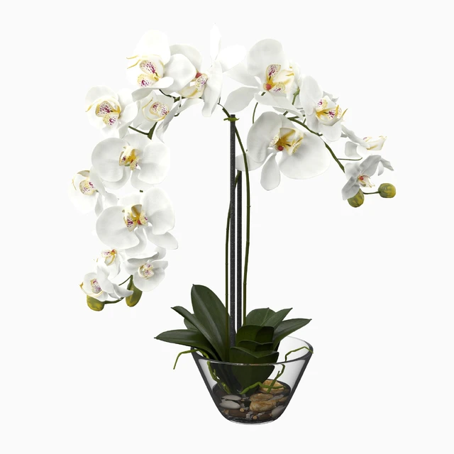 Phalaenopsis Silk White Orchid in Glass Vase — Descargar