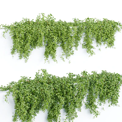 Hanging wall plants collection vol 64 — Вид 2