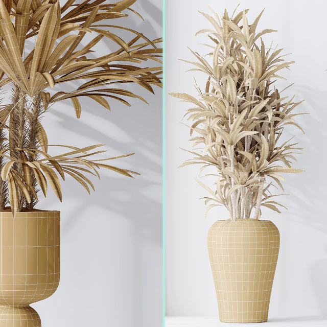 Dracaena Warneckii Lemon and Rhapis Excelsa vases — Скачать