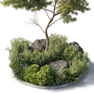Collection outdoor indoor 81 pot plant & tree & bush & fern the garden pot corona — Ver 2