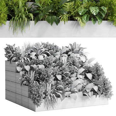 Collection outdoor indoor plant 54 stairs concrete vase pot fern bush grass ficus rubbery — Ver 2
