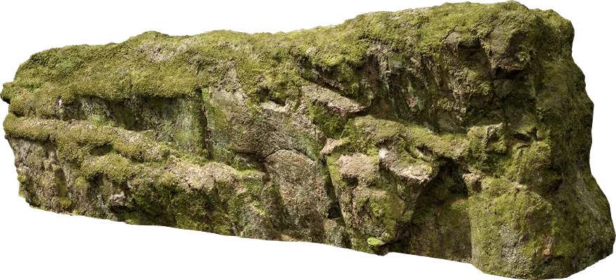 nordic forest cliff large 002 — Descargar