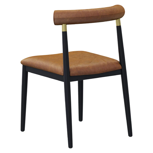 Dantone Home Chair Naomi leather — Descargar