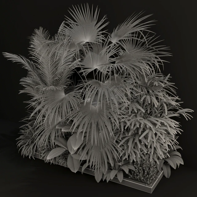 Plants collection 197 — Descargar