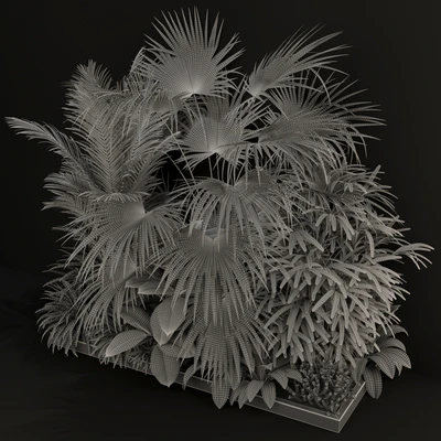 Plants collection 197 — Ver 2