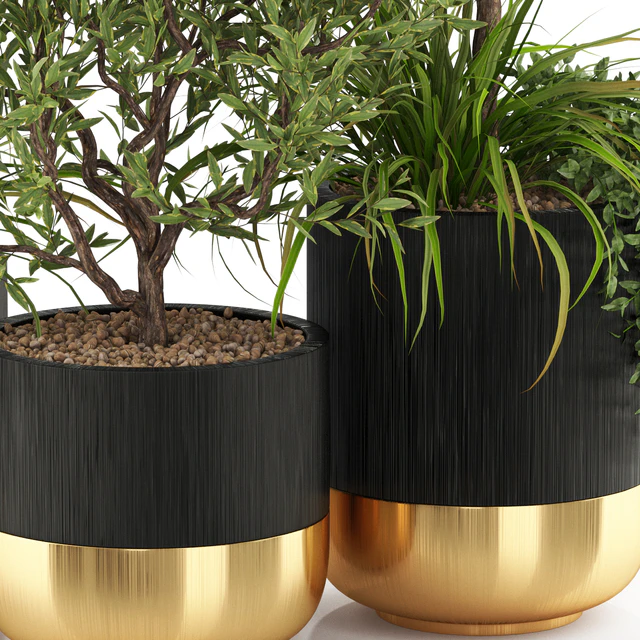 Plants collection 494 — Descargar