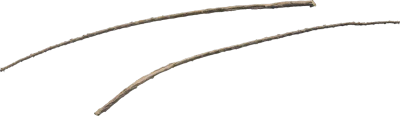 desert western bush branch 001 — Descargar