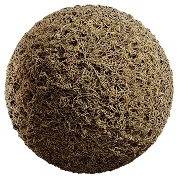 grass dried 040 — Скачать