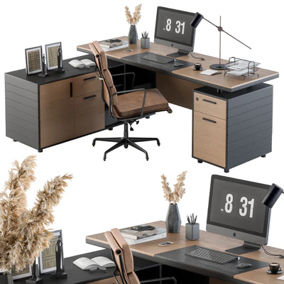 Office Furniture - Manager Set 06 — Ver 1