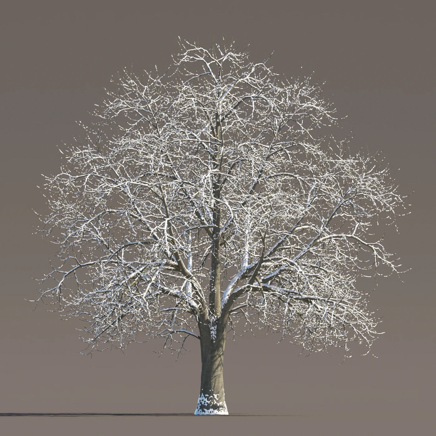 070 Winter — Descargar