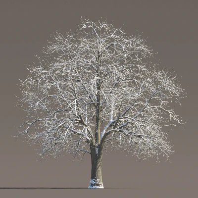 070 Winter — Descargar