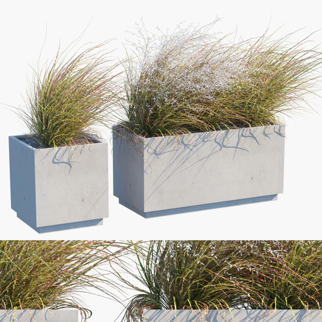 Plant in pots # 27: Wind blows — Descargar