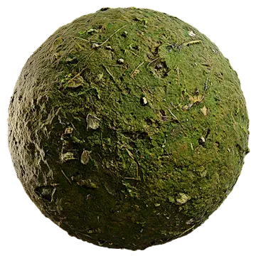 mossy soil 005 — Скачать