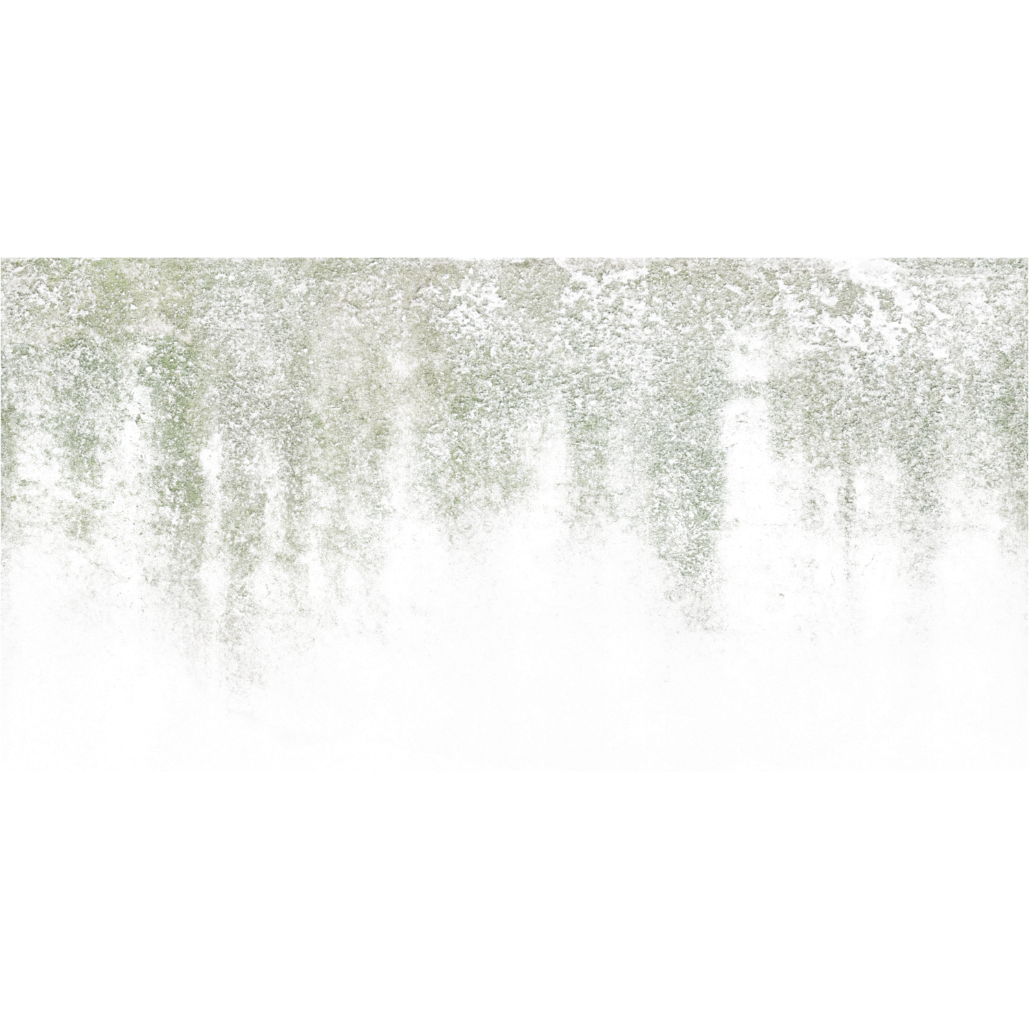 mossy overlay 001 — Descargar
