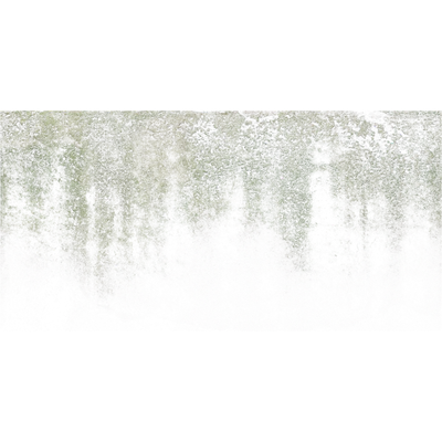 mossy overlay 001 — Descargar