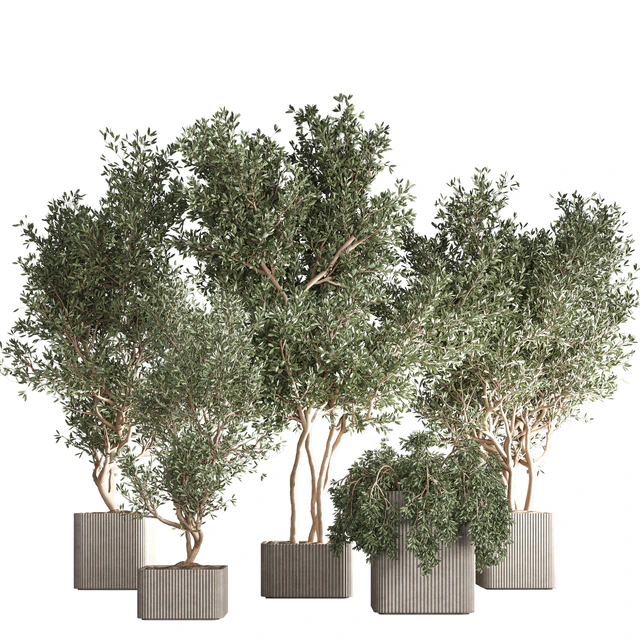 indoor plant set24 — Скачать