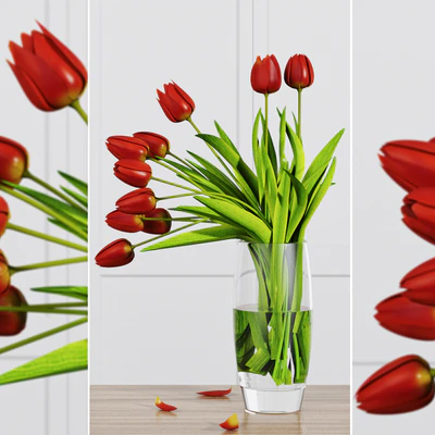 TULIP FLOWERS — Скачать