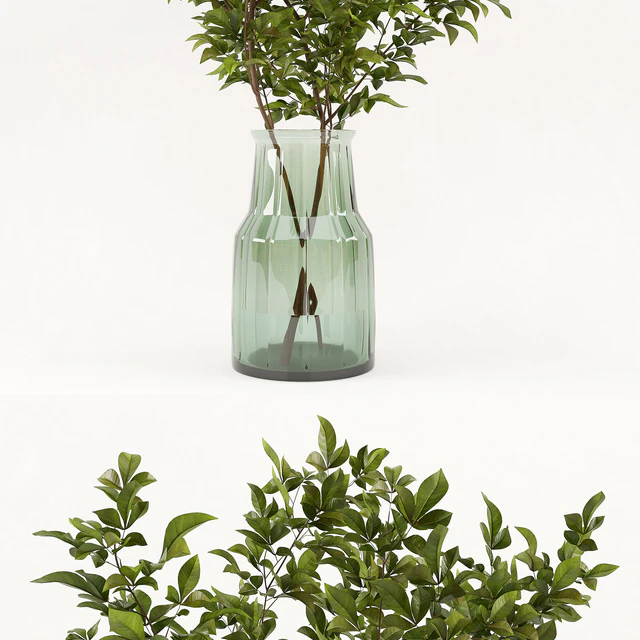 Branches in the vase 002 — Descargar