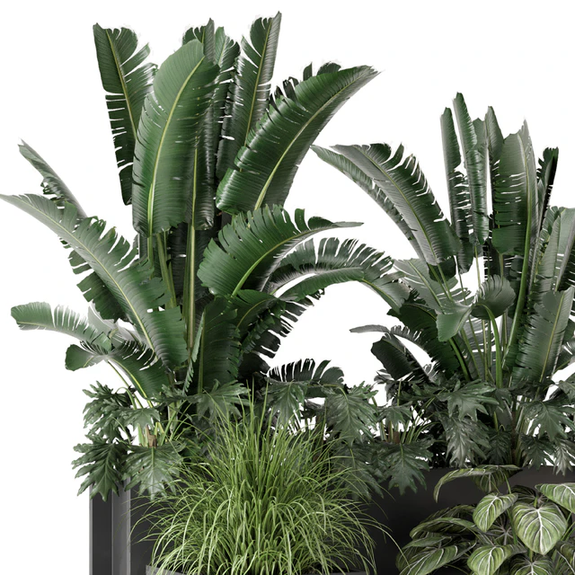 Outdoor Plants Bush in Metal Pot - Set 1074 — Descargar