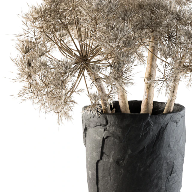 Dry plants 32 - Dried Plant — Скачать