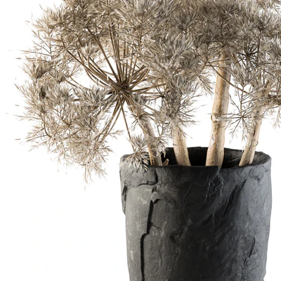 Dry plants 32 - Dried Plant — Вид 2