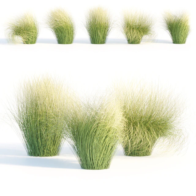 Maram Grass collection vol 155 — Descargar