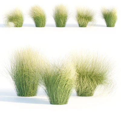 Maram Grass collection vol 155 — Ver 3
