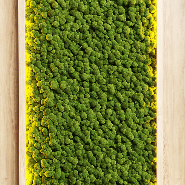 wall garden and vertical moss in wooden frame 22 — Скачать