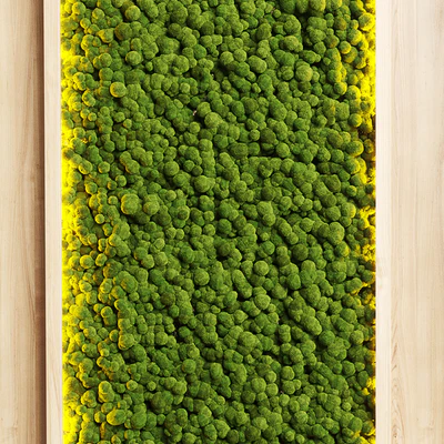 wall garden and vertical moss in wooden frame 22 — Вид 3