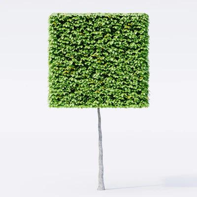 Geometric topiary trees — Ver 2