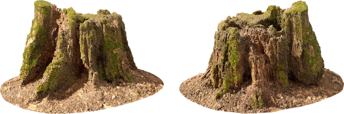 mossy tree stump 001 — Скачать