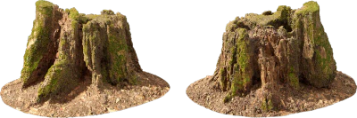 mossy tree stump 001 — Скачать