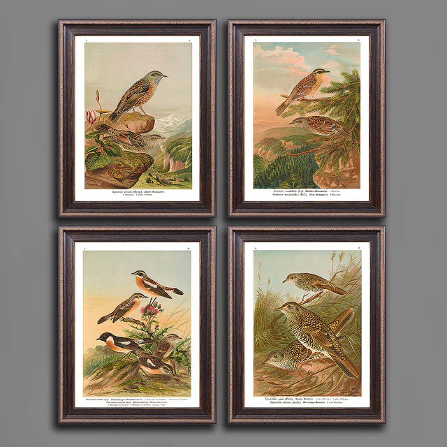 Paintings 460 — Descargar