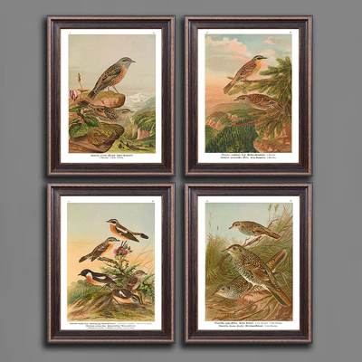 Paintings 460 — Ver 3