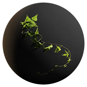 hanging vine 005 — Descargar