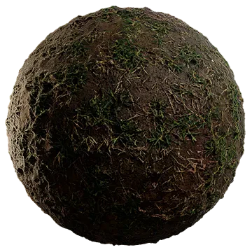 scarce grass on damp soil 013 — Скачать