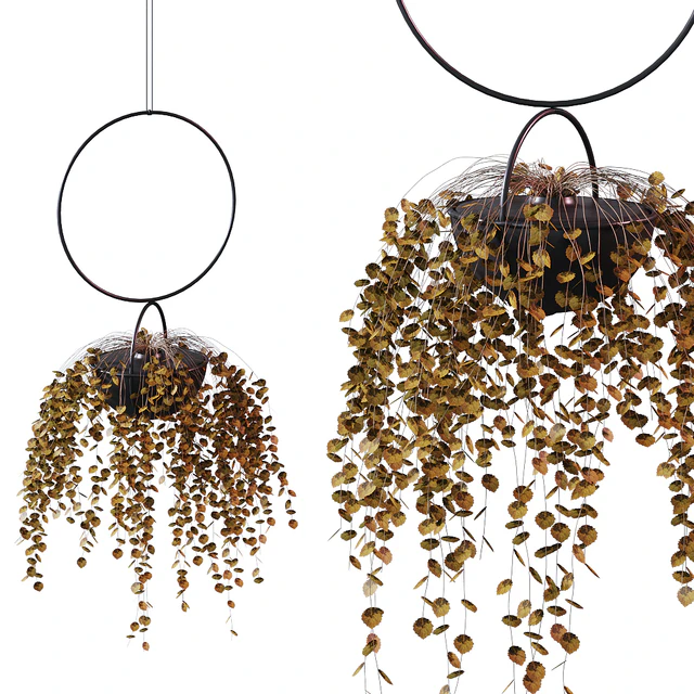 Hanging Planter Plant # 2 / BLUMENKUGEL EDITION — Descargar