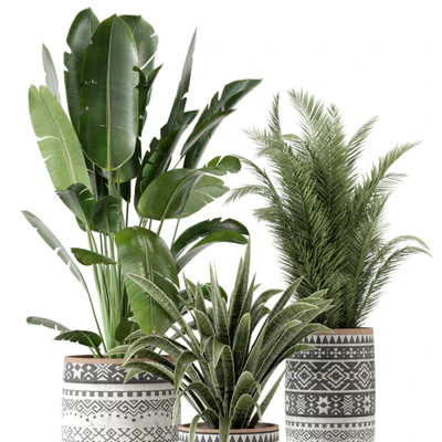 Indoor Plants  in rusty Concrete Pot - Set 628 — Вид 3