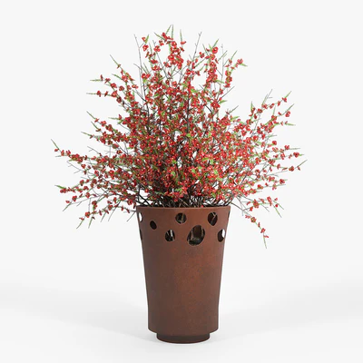 JARDINIÈRE GREEN PALACIO I Chaenomeeles japoonica — Ver 2