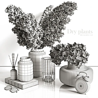 Decorative set with dry plants 4 — Ver 2