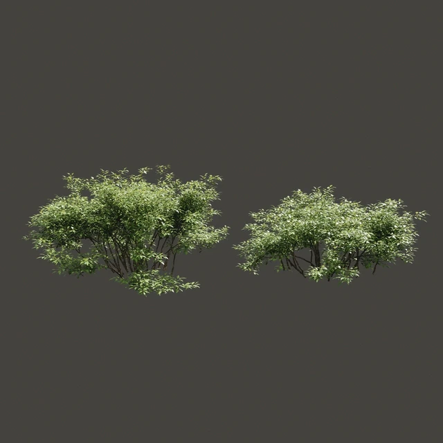 Summer bushes # 1 — Descargar