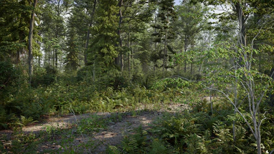 biome 03 — Вид 2