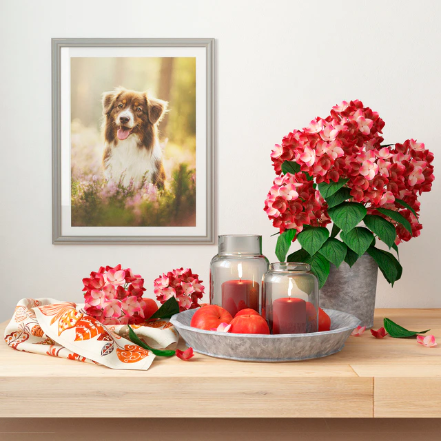 Decorative set — Descargar