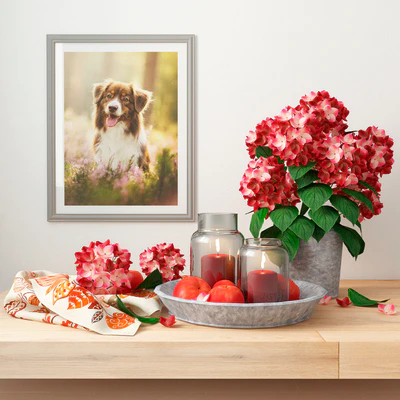 Decorative set — Ver 1